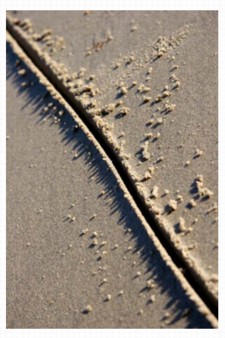 line-in-the-sand line-in-the-sand