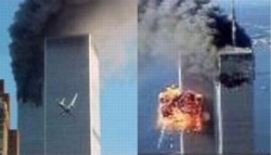 wtc_ewart