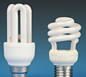 new_bulbs